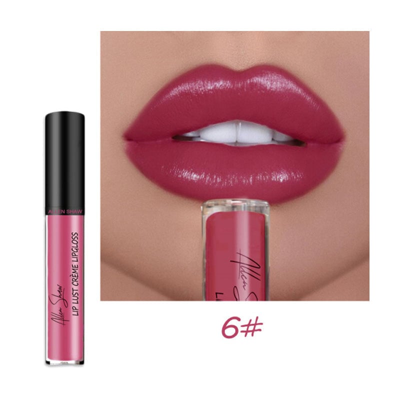 Creamy Makeup Lip Gloss