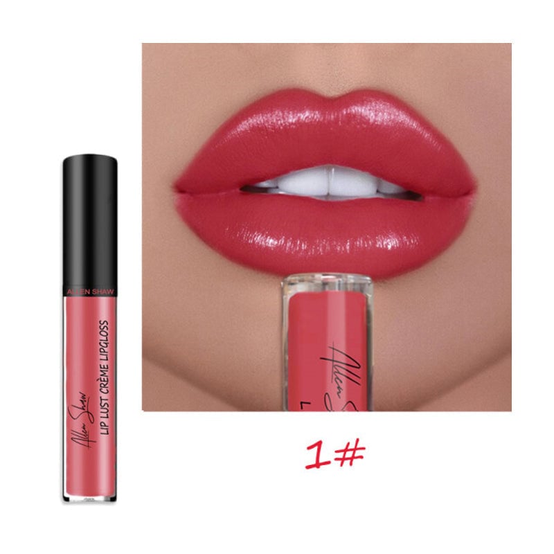 Creamy Makeup Lip Gloss