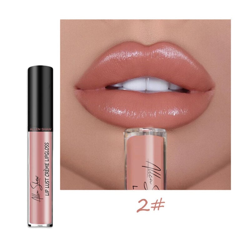 Creamy Makeup Lip Gloss