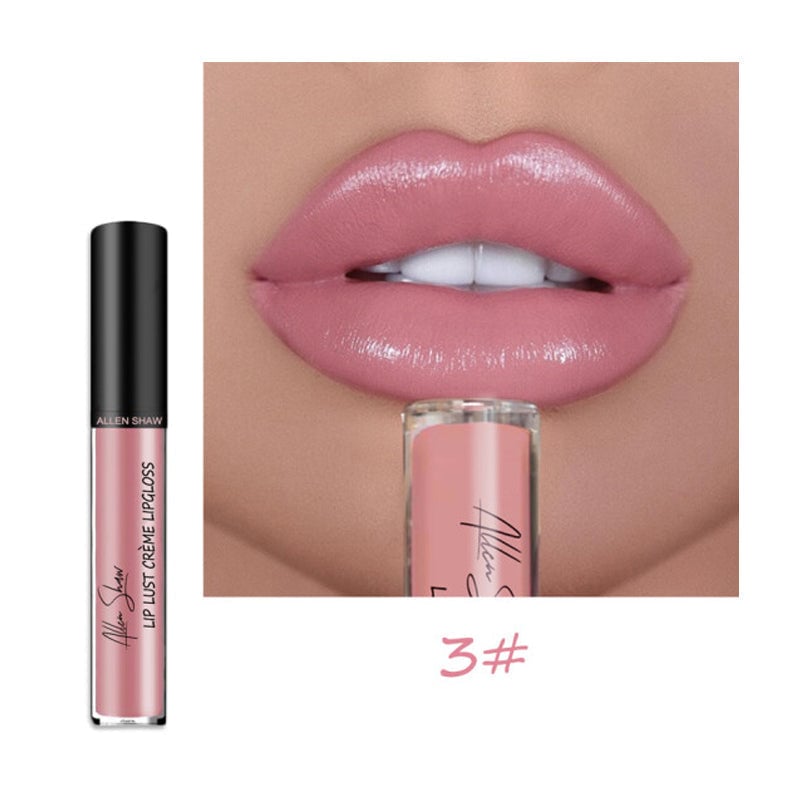 Creamy Makeup Lip Gloss