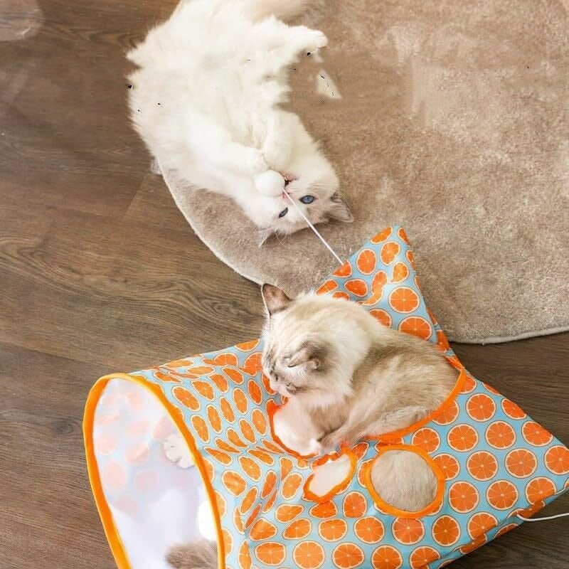 🔥LAST DAY 48% OFF🔥Cat Tunnel Bag