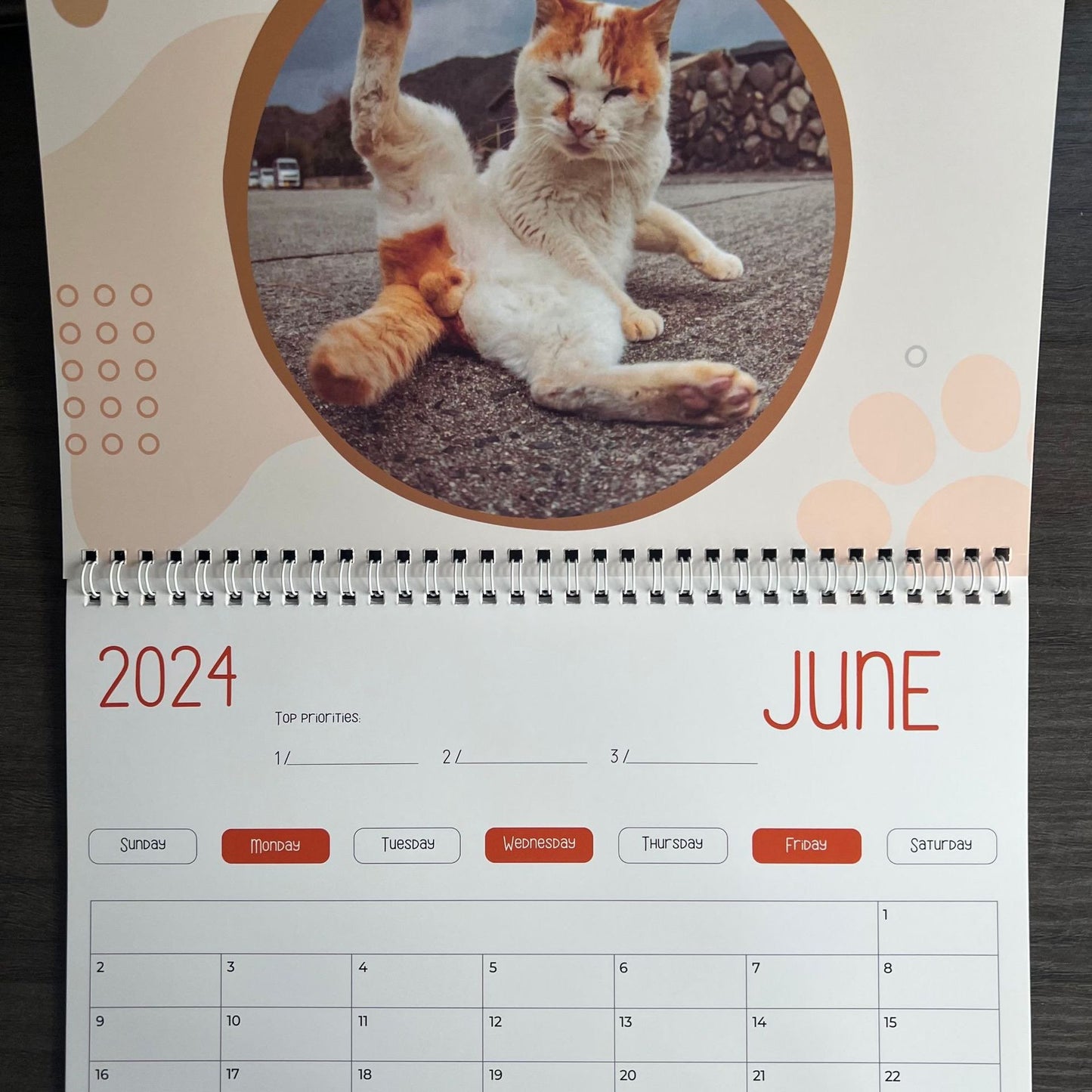🔥LAST DAY 48% OFF - CAT BALLS CALENDAR 2025