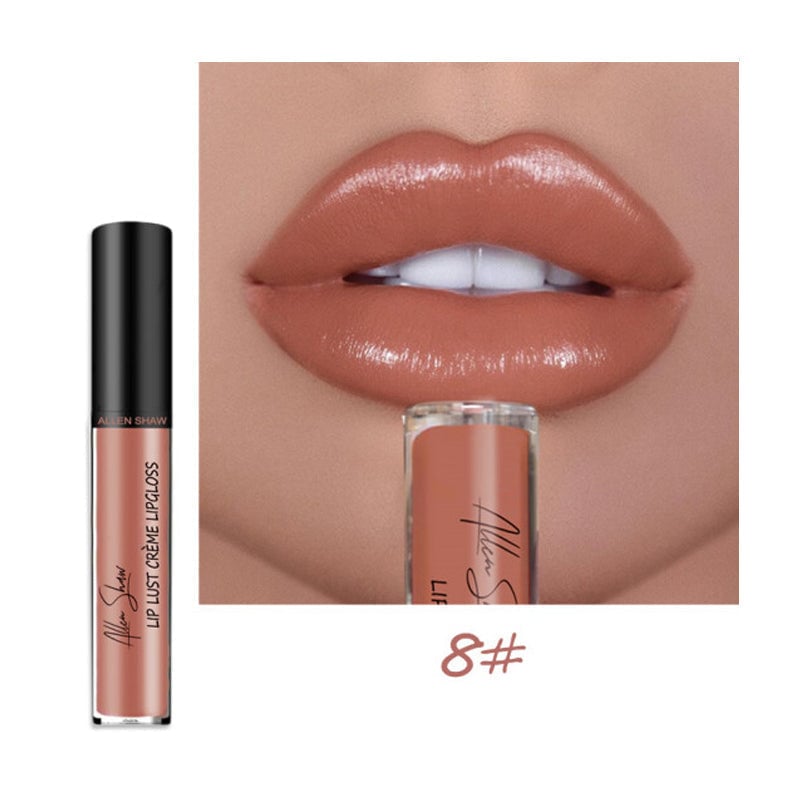 Creamy Makeup Lip Gloss