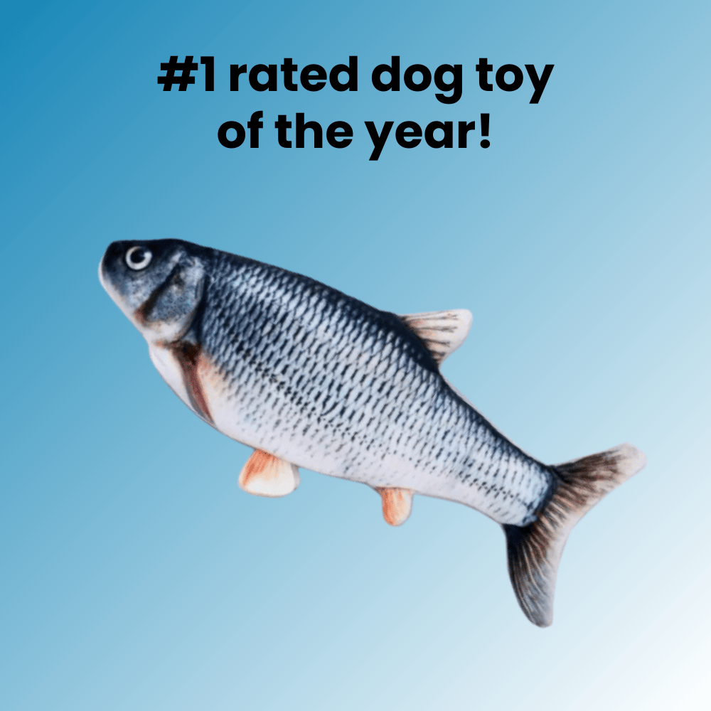 🔥Last Day 48% OFF🔥Dancing Fish - Buy 2 Free Shipping