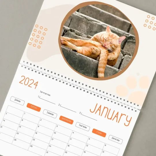 🔥LAST DAY 48% OFF - CAT BALLS CALENDAR 2025