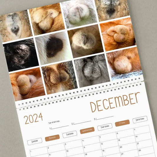 🔥LAST DAY 48% OFF - CAT BALLS CALENDAR 2025