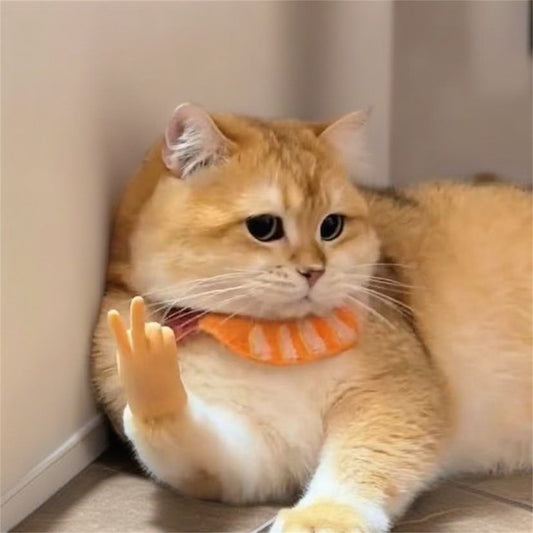 Cat Hands! Cat Costume Hands, Tiny Cat Hands, Fake Cat Paw Gloves, Arms, Pet Cosplay Accessories, Cute Cat Dress Up, Unique Pet Gift