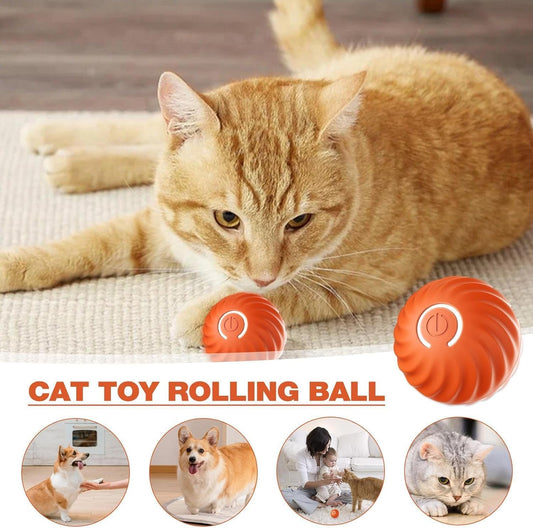 🔥Last Day Promotion 49% OFF- Chewie Viral Bouncing Ball(🔥🔥BUY 1 FREE 1)