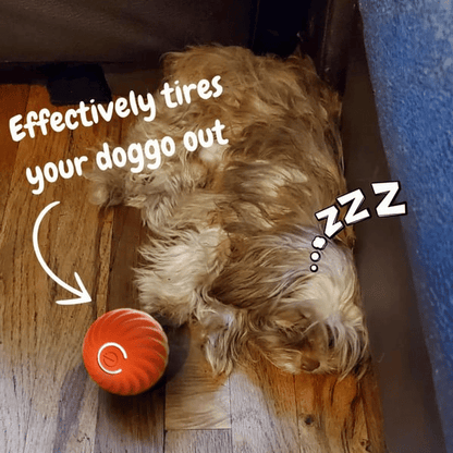 🔥Last Day Promotion 49% OFF- Chewie Viral Bouncing Ball(🔥🔥BUY 1 FREE 1)