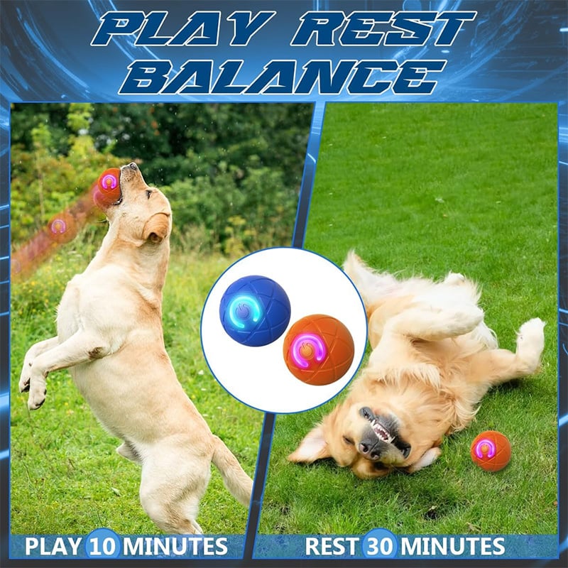 ✨2025 New Release -50% Off - Pet Bounce Ball for Cats🐱 & Dogs🐶