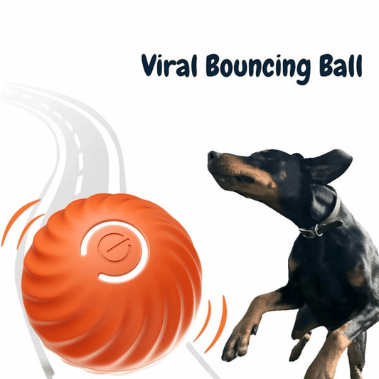 🔥Last Day Promotion 49% OFF- Chewie Viral Bouncing Ball(🔥🔥BUY 1 FREE 1)