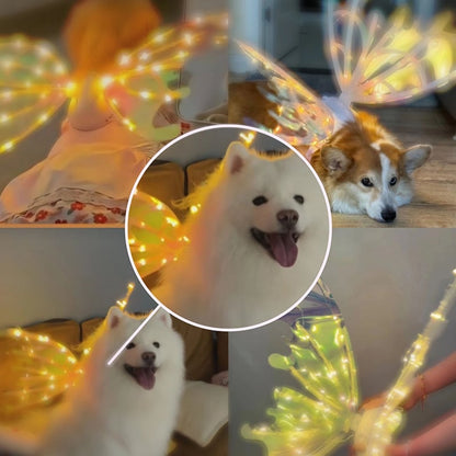 🔥Last day -50%🔥Electric Butterfly Wings With Music Lights