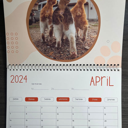 🔥LAST DAY 48% OFF - CAT BALLS CALENDAR 2025