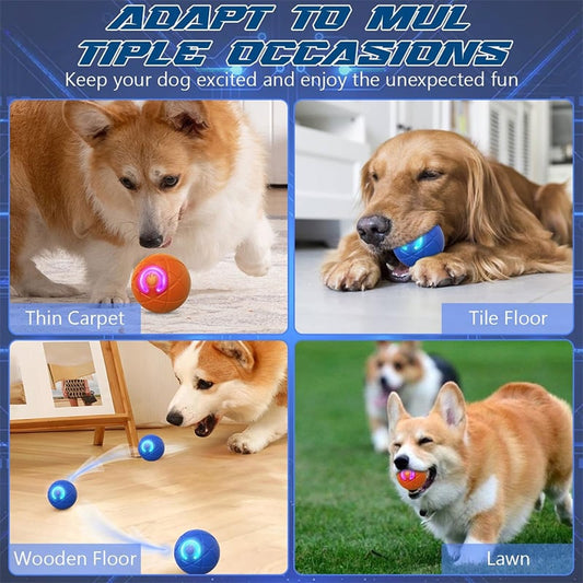 ✨2025 New Release -50% Off - Pet Bounce Ball for Cats🐱 & Dogs🐶