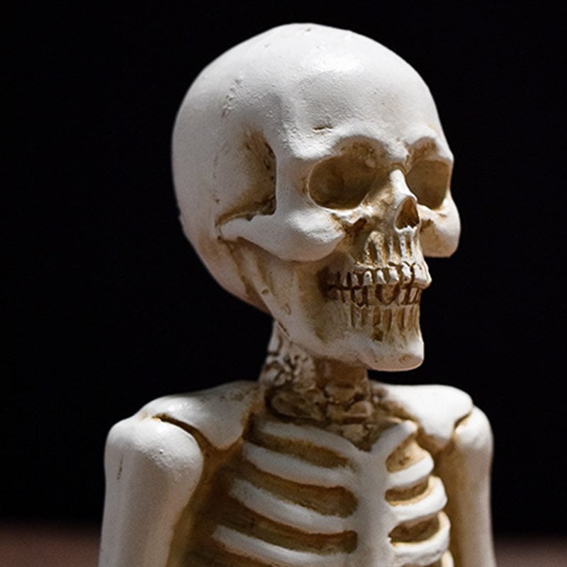 Yoga Skeleton Statue Ornaments Set