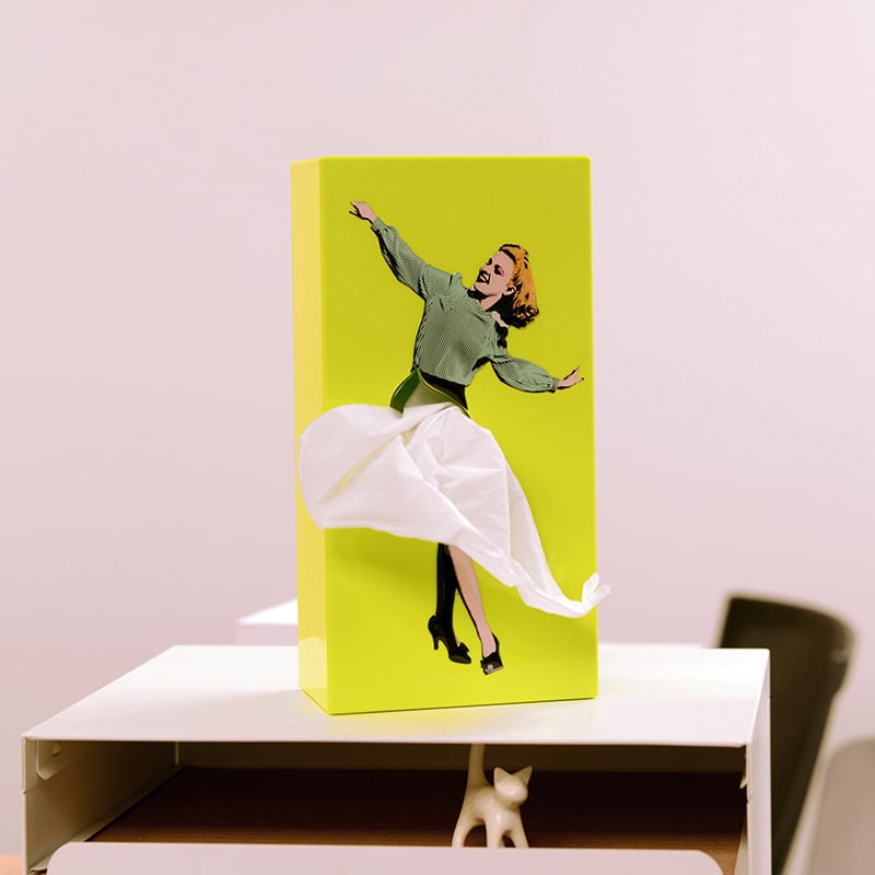 🔥LAST DAY 49% OFF🎁Flying Skirt Tissue Box