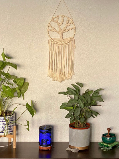 🔥Handmade Macrame Dream Catchers