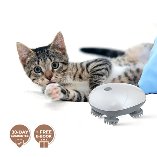 🔥Last Day 50% OFF🔥Cat Massager Body - Buy 2 Free Shipping