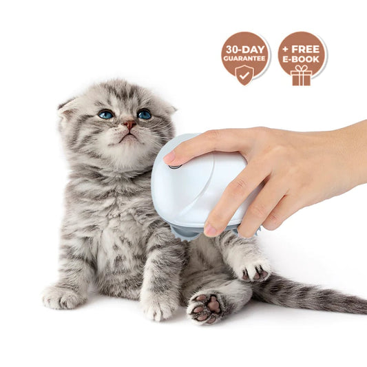 🔥Last Day 50% OFF🔥Cat Massager Body - Buy 2 Free Shipping