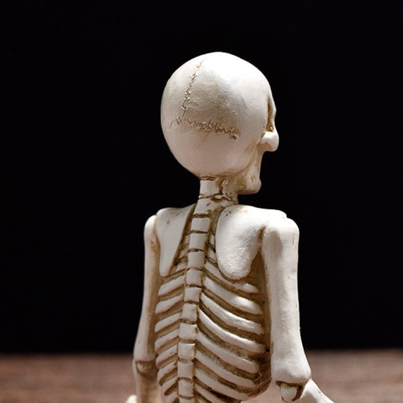 Yoga Skeleton Statue Ornaments Set
