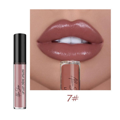 Creamy Makeup Lip Gloss